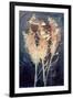 Flowers at Midnight I-Grace Popp-Framed Art Print