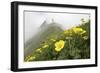 Flowers, Balang Mountain, Wolong National Nature Reserve, Sichuan Province, China-Dong Lei-Framed Photographic Print