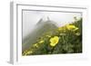 Flowers, Balang Mountain, Wolong National Nature Reserve, Sichuan Province, China-Dong Lei-Framed Photographic Print