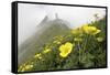 Flowers, Balang Mountain, Wolong National Nature Reserve, Sichuan Province, China-Dong Lei-Framed Stretched Canvas