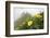 Flowers, Balang Mountain, Wolong National Nature Reserve, Sichuan Province, China-Dong Lei-Framed Photographic Print