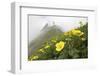 Flowers, Balang Mountain, Wolong National Nature Reserve, Sichuan Province, China-Dong Lei-Framed Photographic Print