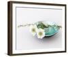 Flowers & Bowl-Catherine Beyler-Framed Art Print