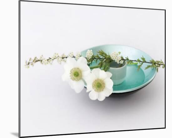 Flowers & Bowl-Catherine Beyler-Mounted Art Print