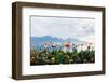 Flowers by the Lake in Montreux, Switzerland-natchapnc-Framed Photographic Print