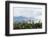 Flowers by the Lake in Montreux, Switzerland-natchapnc-Framed Photographic Print