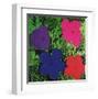 Flowers, c.1964 (1 purple, 1 blue, 1 pink, 1 red)-Andy Warhol-Framed Art Print