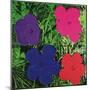 Flowers, c.1964 (1 purple, 1 blue, 1 pink, 1 red)-Andy Warhol-Mounted Art Print