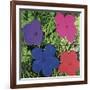Flowers, c. 1964 (1 purple, 1 blue, 1 pink, 1 red)-Andy Warhol-Framed Art Print