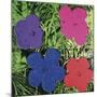 Flowers, c. 1964 (1 purple, 1 blue, 1 pink, 1 red)-Andy Warhol-Mounted Art Print