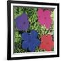 Flowers, c. 1964 (1 purple, 1 blue, 1 pink, 1 red)-Andy Warhol-Framed Art Print