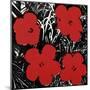 Flowers, c.1964 (Red)-Andy Warhol-Mounted Giclee Print