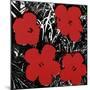 Flowers, c.1964 (Red)-Andy Warhol-Mounted Giclee Print