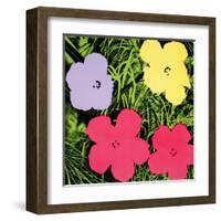 Flowers, c.1970 (1 purple, 1 yellow, 2 pink)-Andy Warhol-Framed Art Print