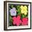 Flowers, c.1970 (1 purple, 1 yellow, 2 pink)-Andy Warhol-Framed Art Print