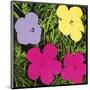 Flowers, c.1970 (1 Purple, c.1 Yellow, 2 Pink)-Andy Warhol-Mounted Art Print