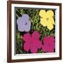 Flowers, c.1970 (1 Purple, c.1 Yellow, 2 Pink)-Andy Warhol-Framed Giclee Print