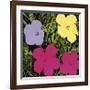 Flowers, c.1970 (1 Purple, c.1 Yellow, 2 Pink)-Andy Warhol-Framed Giclee Print