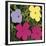 Flowers, c.1970 (1 Purple, c.1 Yellow, 2 Pink)-Andy Warhol-Framed Giclee Print