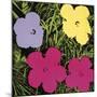 Flowers, c.1970 (1 Purple, c.1 Yellow, 2 Pink)-Andy Warhol-Mounted Giclee Print