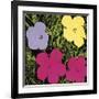 Flowers, c.1970 (1 Purple, c.1 Yellow, 2 Pink)-Andy Warhol-Framed Giclee Print