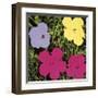 Flowers, c.1970 (1 Purple, c.1 Yellow, 2 Pink)-Andy Warhol-Framed Giclee Print