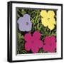 Flowers, c.1970 (1 Purple, c.1 Yellow, 2 Pink)-Andy Warhol-Framed Giclee Print