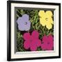 Flowers, c.1970 (1 Purple, c.1 Yellow, 2 Pink)-Andy Warhol-Framed Art Print