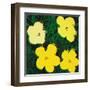 Flowers, c.1970 (4 yellow)-Andy Warhol-Framed Art Print