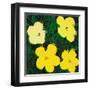 Flowers, c.1970 (4 yellow)-Andy Warhol-Framed Art Print