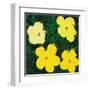 Flowers, c.1970 (4 yellow)-Andy Warhol-Framed Art Print