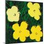 Flowers, c.1970 (4 yellow)-Andy Warhol-Mounted Art Print