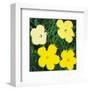 Flowers, c.1970 (Yellow)-Andy Warhol-Framed Art Print