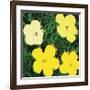 Flowers, c.1970 (Yellow)-Andy Warhol-Framed Giclee Print