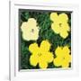 Flowers, c.1970 (Yellow)-Andy Warhol-Framed Giclee Print