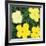 Flowers, c.1970 (Yellow)-Andy Warhol-Framed Giclee Print