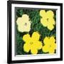 Flowers, c.1970 (Yellow)-Andy Warhol-Framed Giclee Print