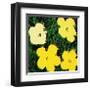 Flowers, c.1970 (Yellow)-Andy Warhol-Framed Giclee Print