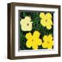 Flowers, c.1970 (Yellow)-Andy Warhol-Framed Giclee Print