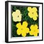 Flowers, c.1970 (Yellow)-Andy Warhol-Framed Giclee Print