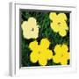 Flowers, c.1970 (Yellow)-Andy Warhol-Framed Giclee Print