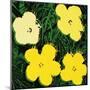 Flowers, c.1970 (Yellow)-Andy Warhol-Mounted Giclee Print