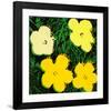 Flowers, c.1970 (Yellow)-Andy Warhol-Framed Giclee Print