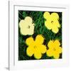 Flowers, c.1970 (Yellow)-Andy Warhol-Framed Giclee Print