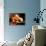 Flowers Carved from Fruit and Vegetables in a Bowl-Eising Studio Food Photo and Video-Photographic Print displayed on a wall