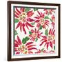 Flowers, Chistmas Star Flower Color-Belen Mena-Framed Giclee Print