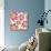 Flowers, Chistmas Star Flower Color-Belen Mena-Giclee Print displayed on a wall