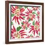 Flowers, Chistmas Star Flower Color-Belen Mena-Framed Giclee Print