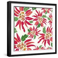 Flowers, Chistmas Star Flower Color-Belen Mena-Framed Giclee Print