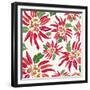 Flowers, Chistmas Star Flower Color-Belen Mena-Framed Giclee Print